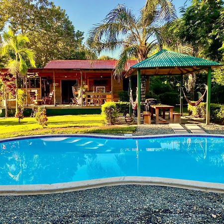 Uvita Oasis Retreat With Villa Cabins And Apartment 외부 사진
