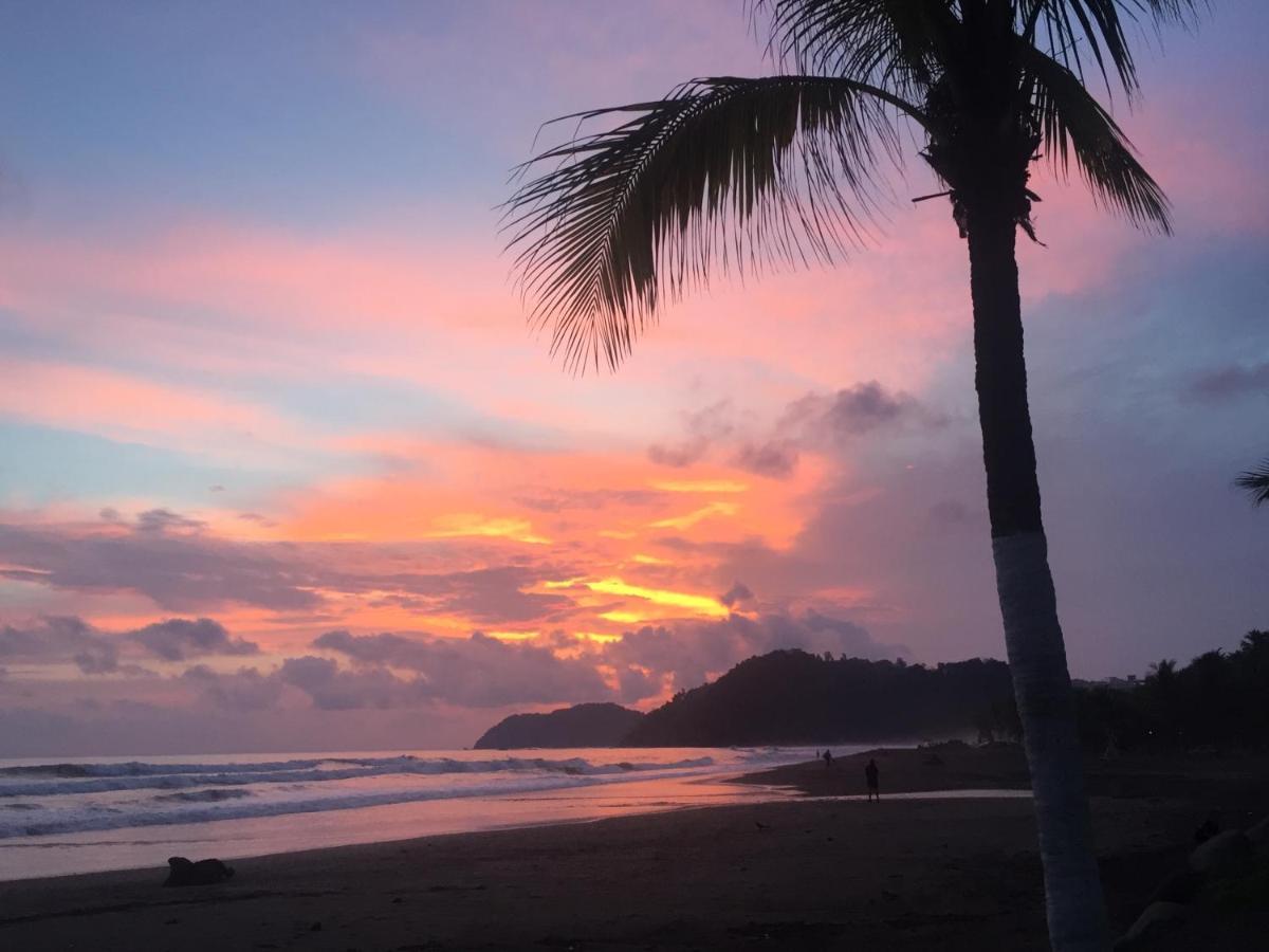 Uvita Oasis Retreat With Villa Cabins And Apartment 외부 사진