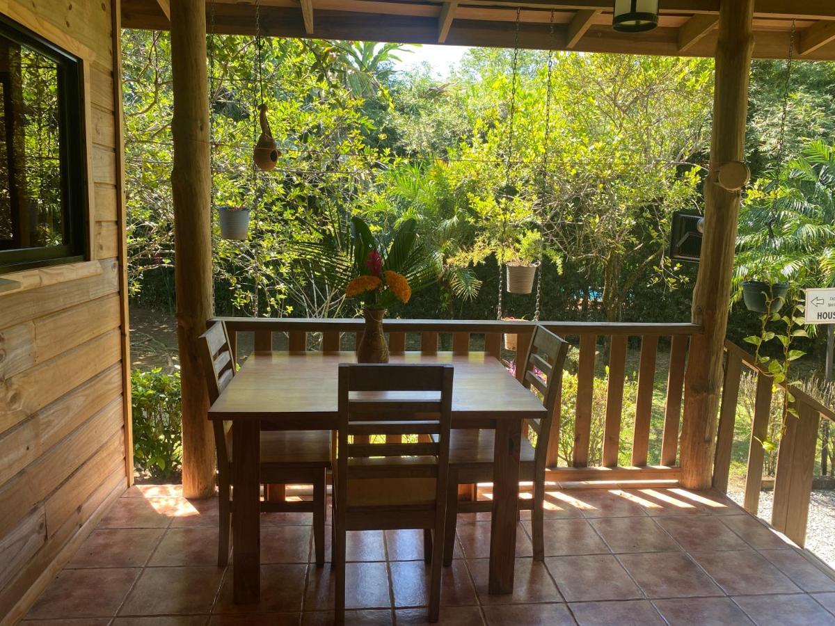 Uvita Oasis Retreat With Villa Cabins And Apartment 외부 사진