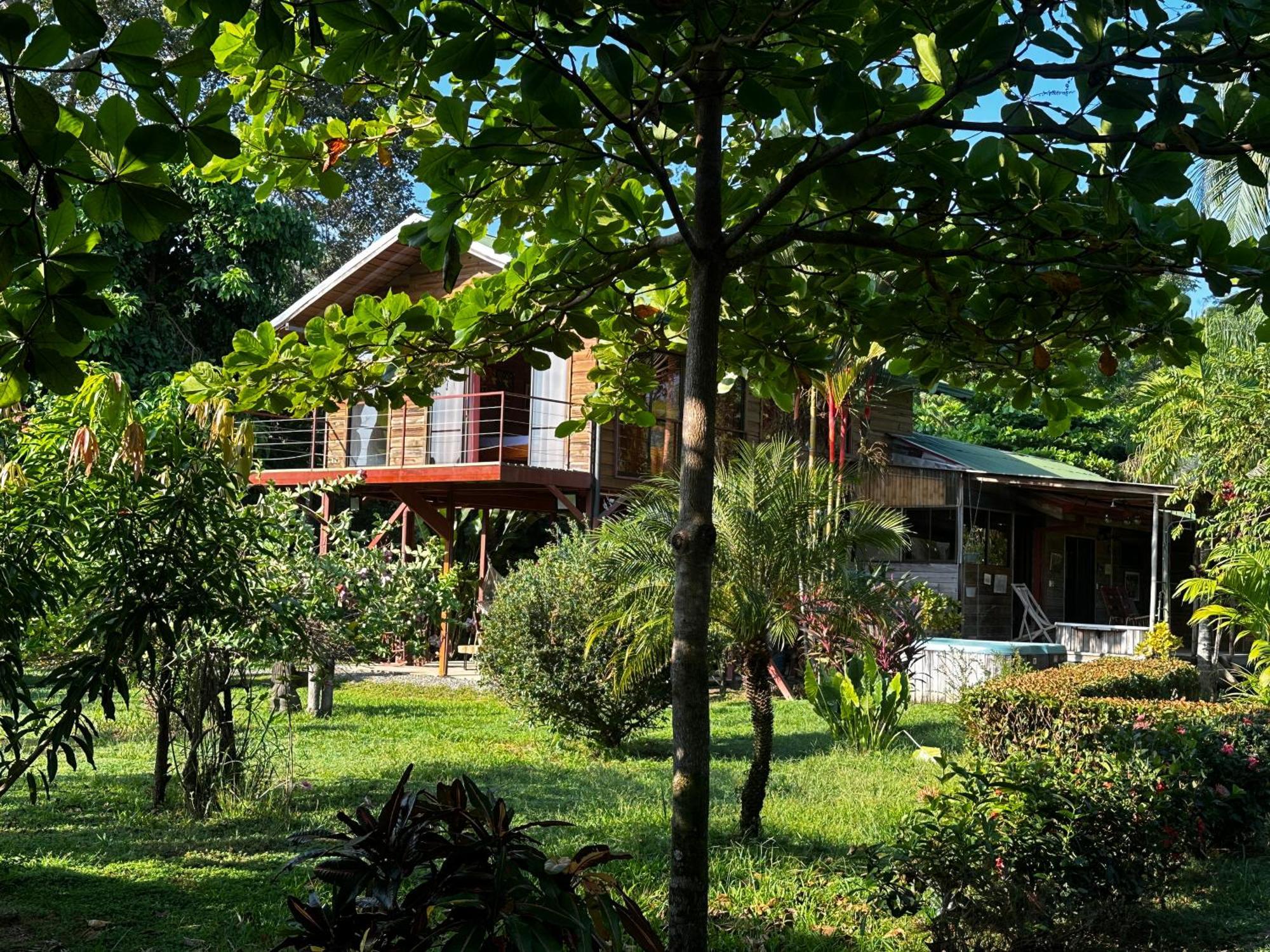 Uvita Oasis Retreat With Villa Cabins And Apartment 외부 사진