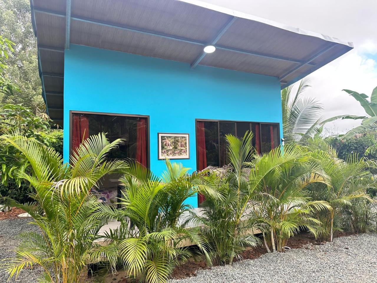 Uvita Oasis Retreat With Villa Cabins And Apartment 외부 사진