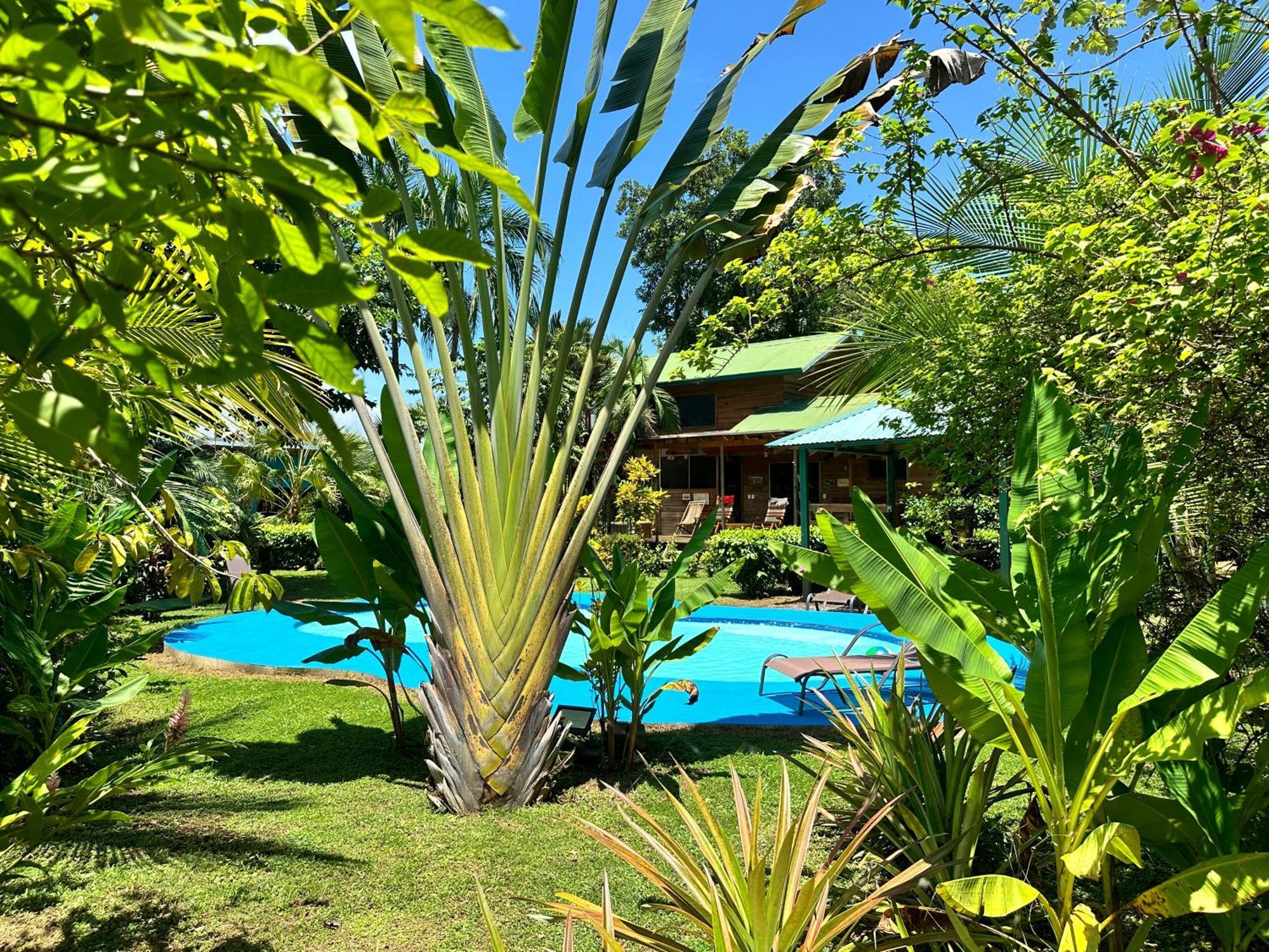 Uvita Oasis Retreat With Villa Cabins And Apartment 외부 사진