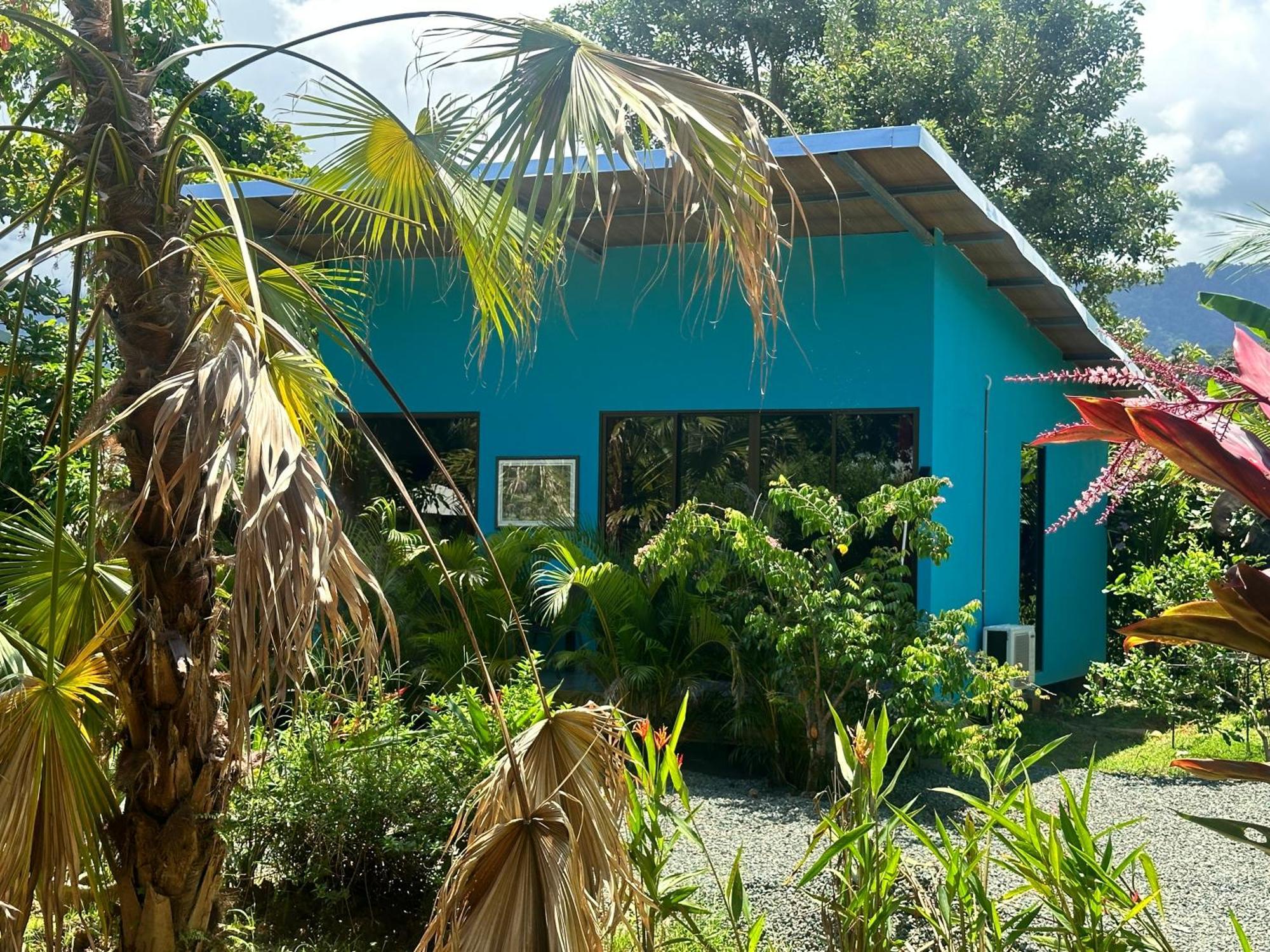 Uvita Oasis Retreat With Villa Cabins And Apartment 외부 사진
