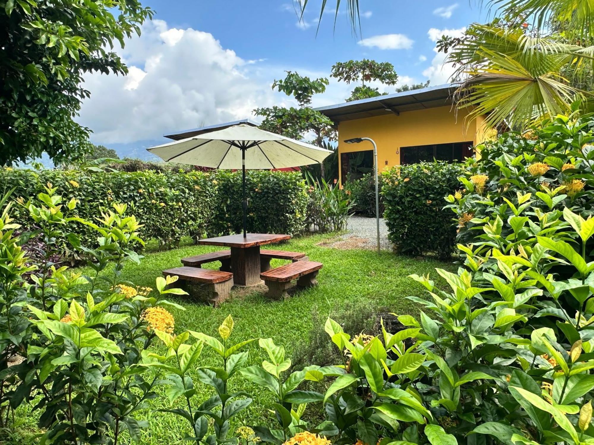 Uvita Oasis Retreat With Villa Cabins And Apartment 외부 사진