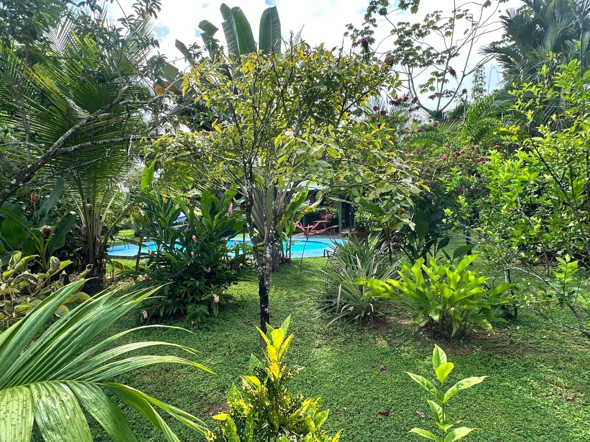 Uvita Oasis Retreat With Villa Cabins And Apartment 외부 사진